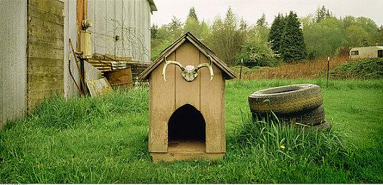 《RWBY：Arrowfell》现已于各大平台正式发售